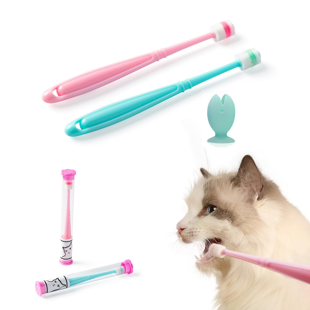 E.M&S.T face emballage transparent montrant propreté et transport facile