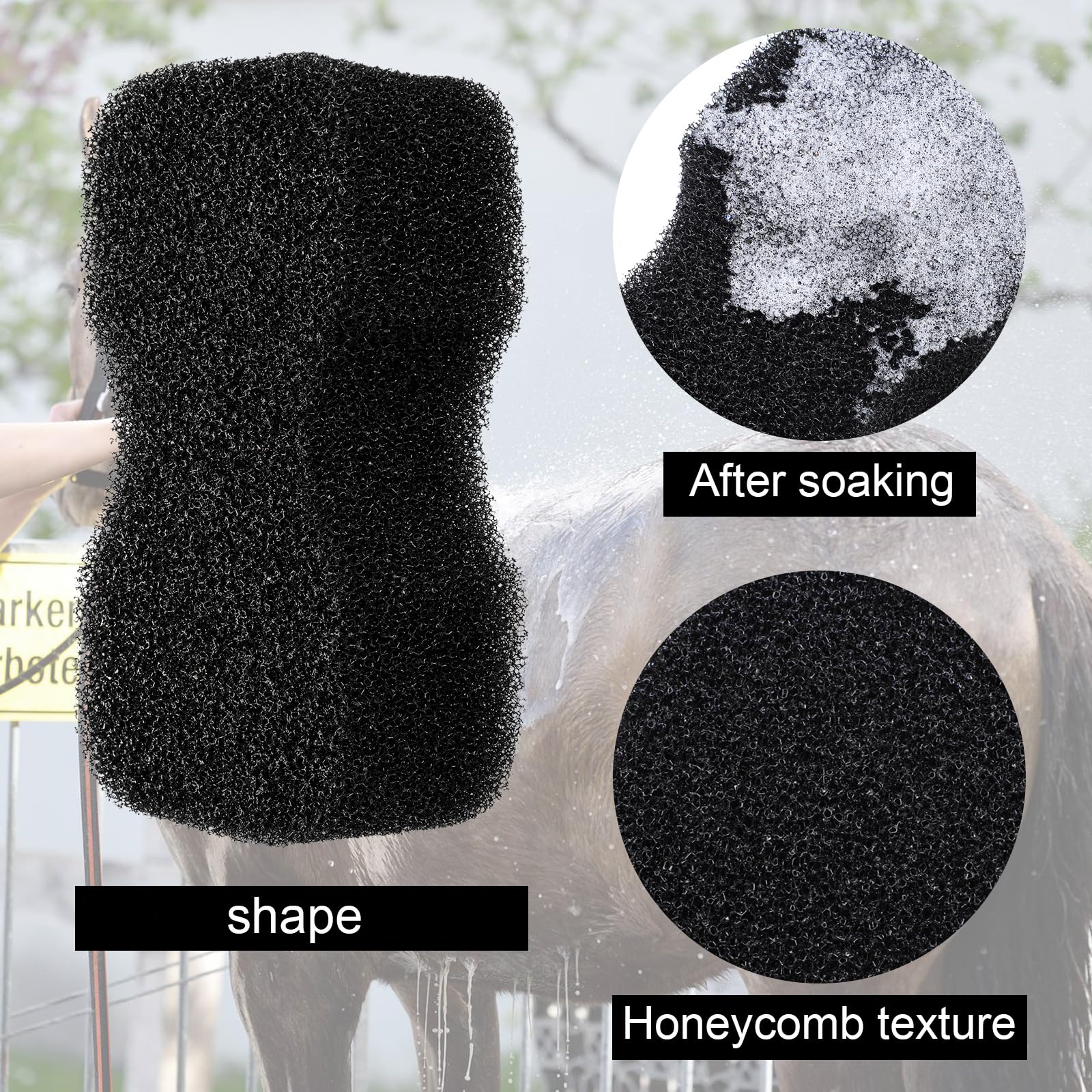 Eaasty éponge taille comparaison avec main pour prise en main confortable