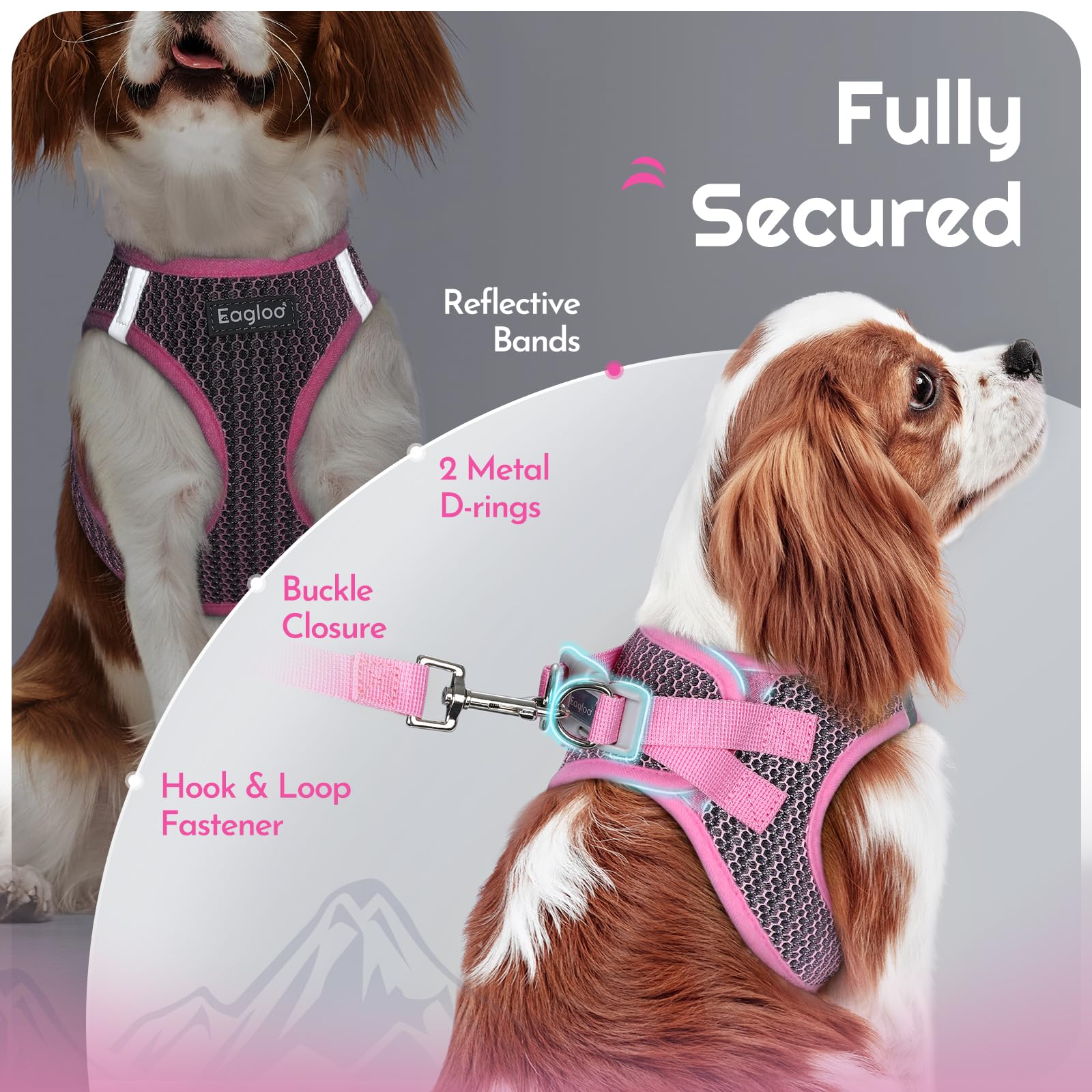 Eagloo mousqueton anti-tangle limite enchevêtrements pour sécurité