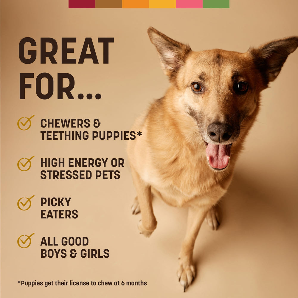 Comparaison taille No Hide Earth Animal avec patte de chien pour échelle