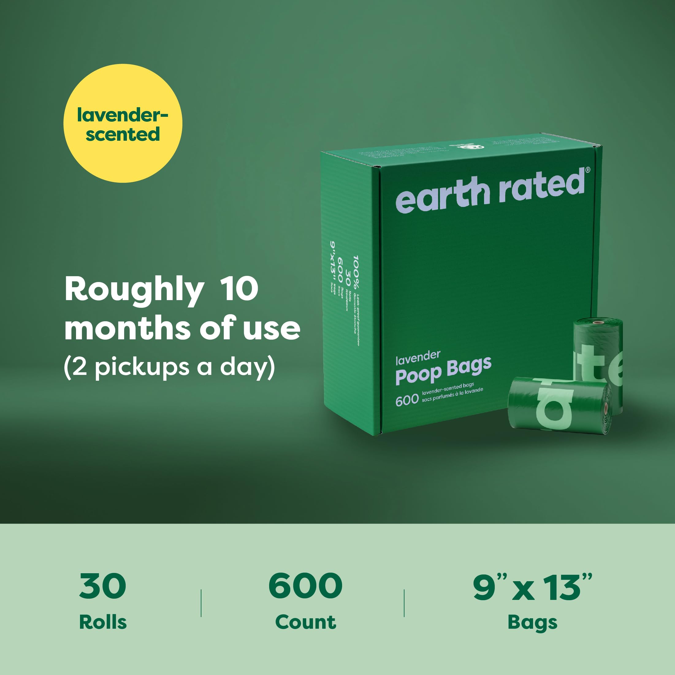 Earth Rated scène de vie au parc avec chien et propriétaire, solution pratique quotidienne