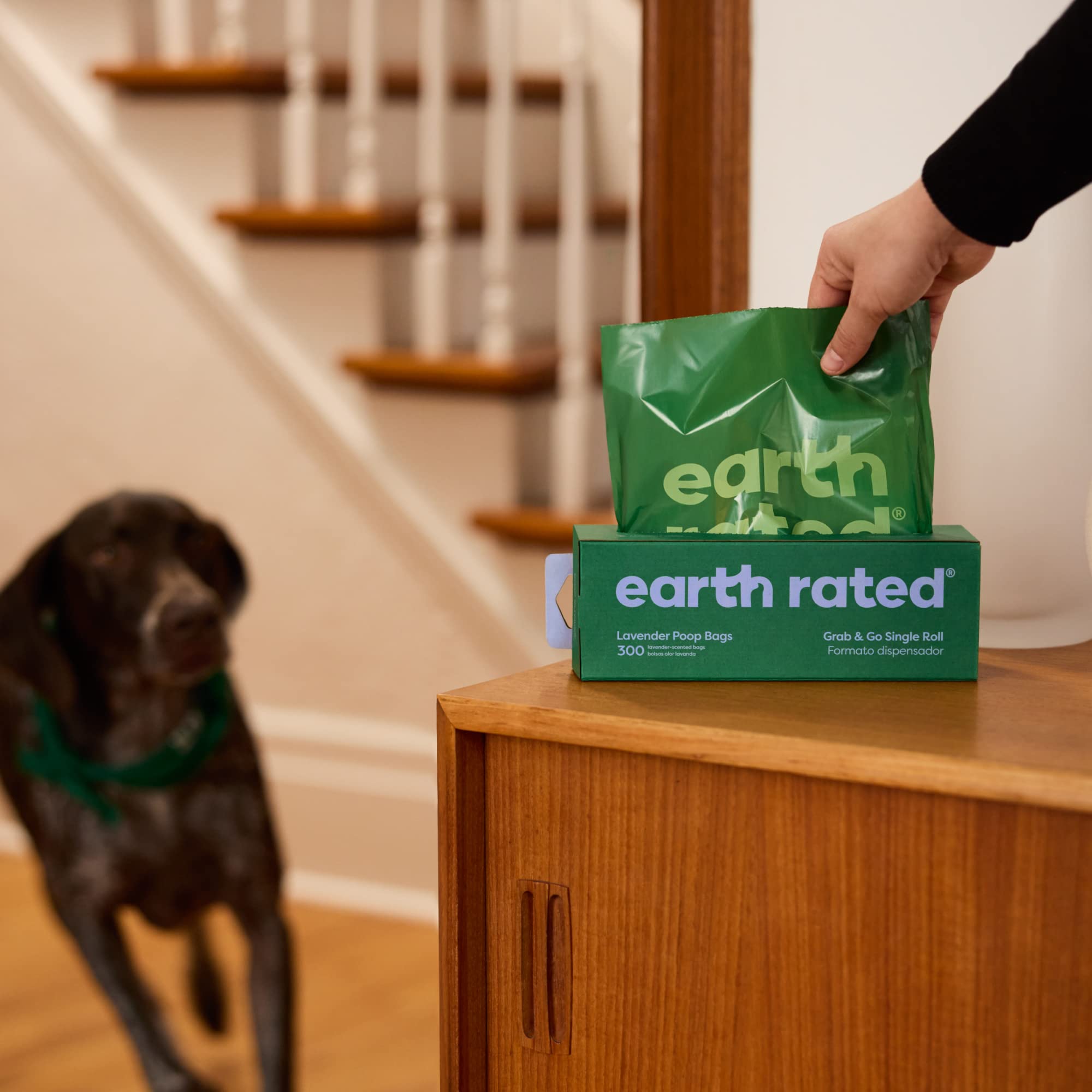 Earth Rated perforations visibles facilitant le détachement