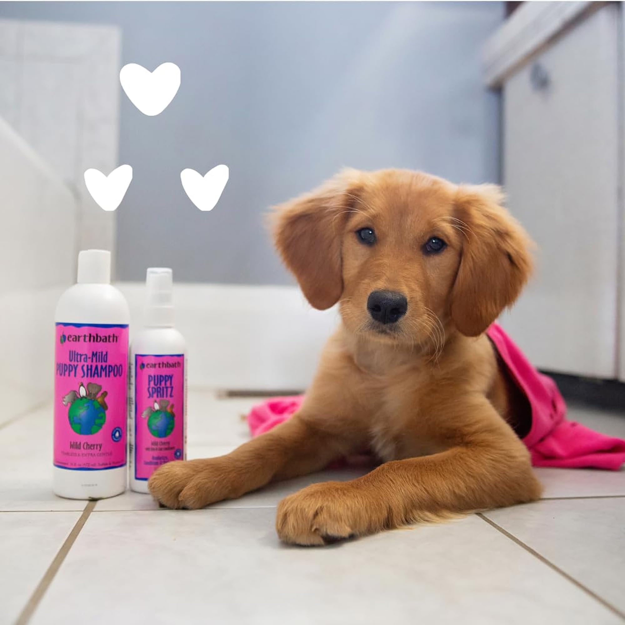 earthbath application sur chiot pour rafraîchir et démêler rapidement