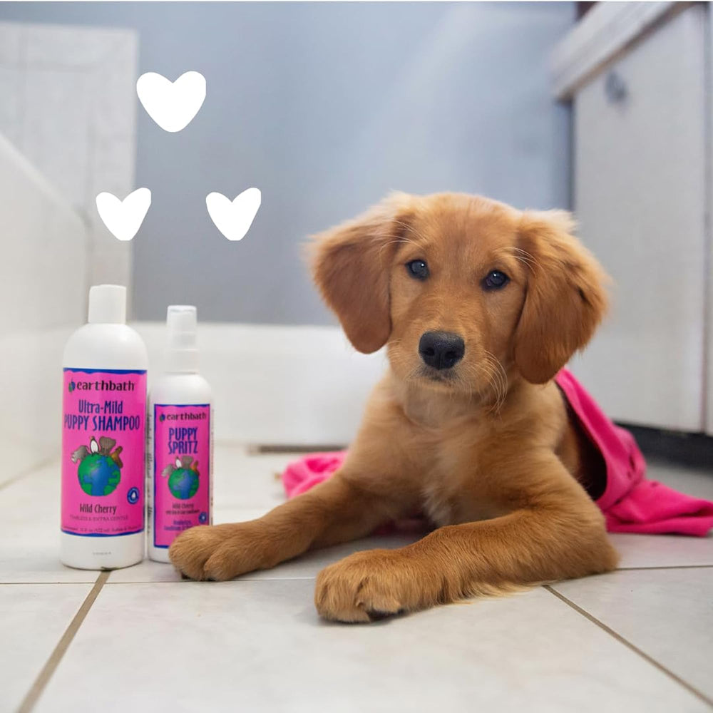 earthbath application sur chiot pour rafraîchir et démêler rapidement