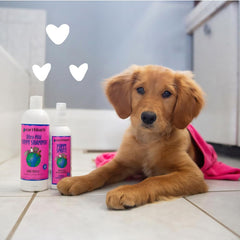 earthbath application sur chiot pour rafraîchir et démêler rapidement