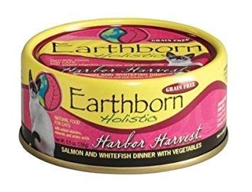Earthborn Holistic chat mangeant la recette marine pour une alimentation variée