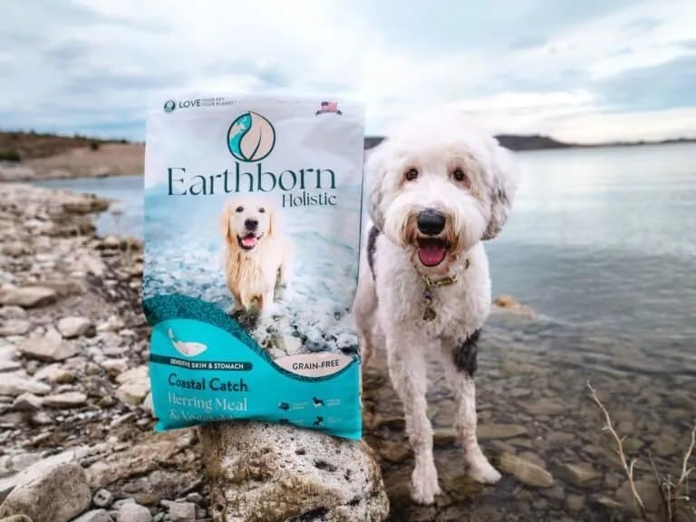 Chien dégustant Coastal Catch dans une cuisine illustrant appétence et confort Earthborn Holistic