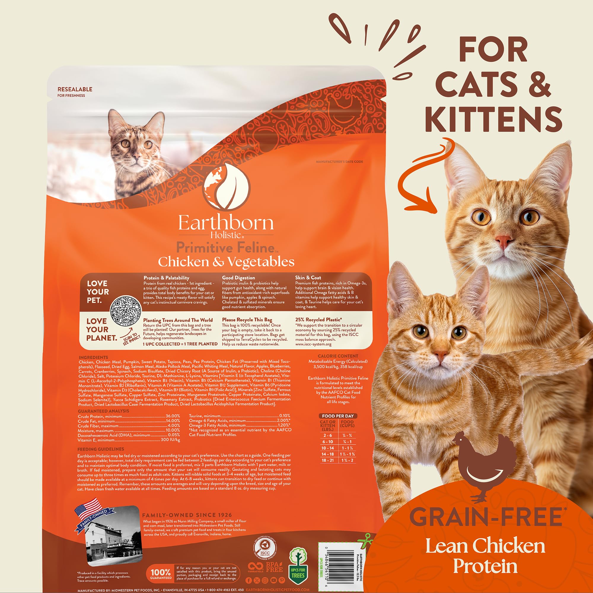 Earthborn Holistic croquettes dans un bol prêtes à servir pour un repas complet
