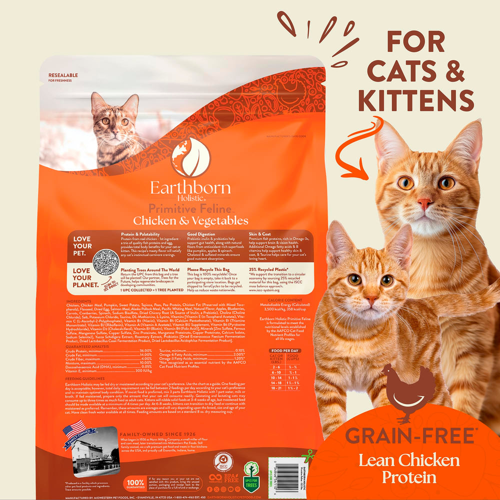 Earthborn Holistic croquettes dans un bol prêtes à servir pour un repas complet