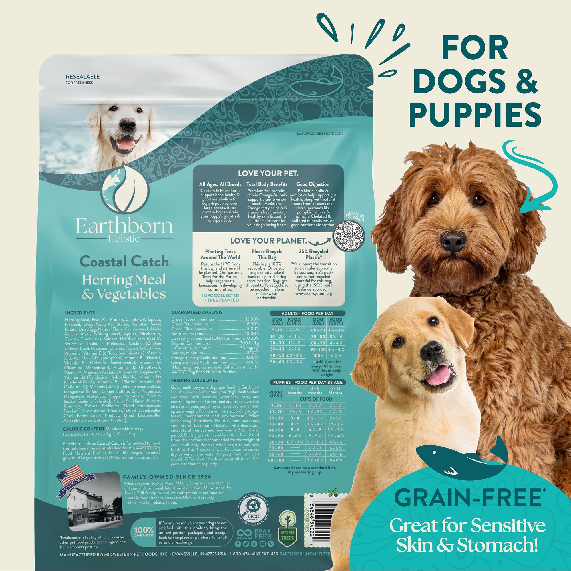 Croquettes Coastal Catch gros plan montrant texture et aspect appétent Earthborn Holistic