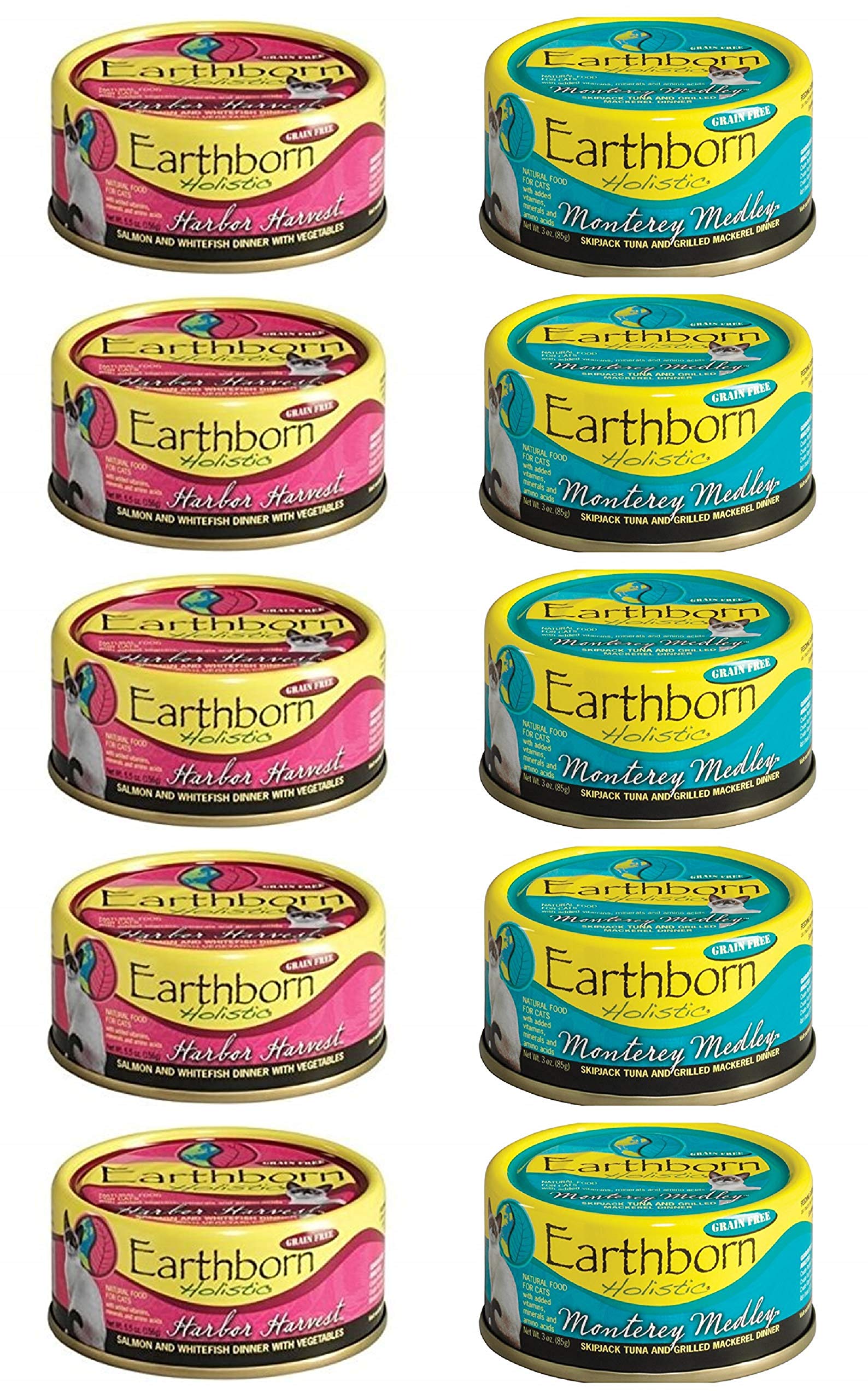 Earthborn Holistic face avant de la boîte montrant l'étiquette et l'appétence