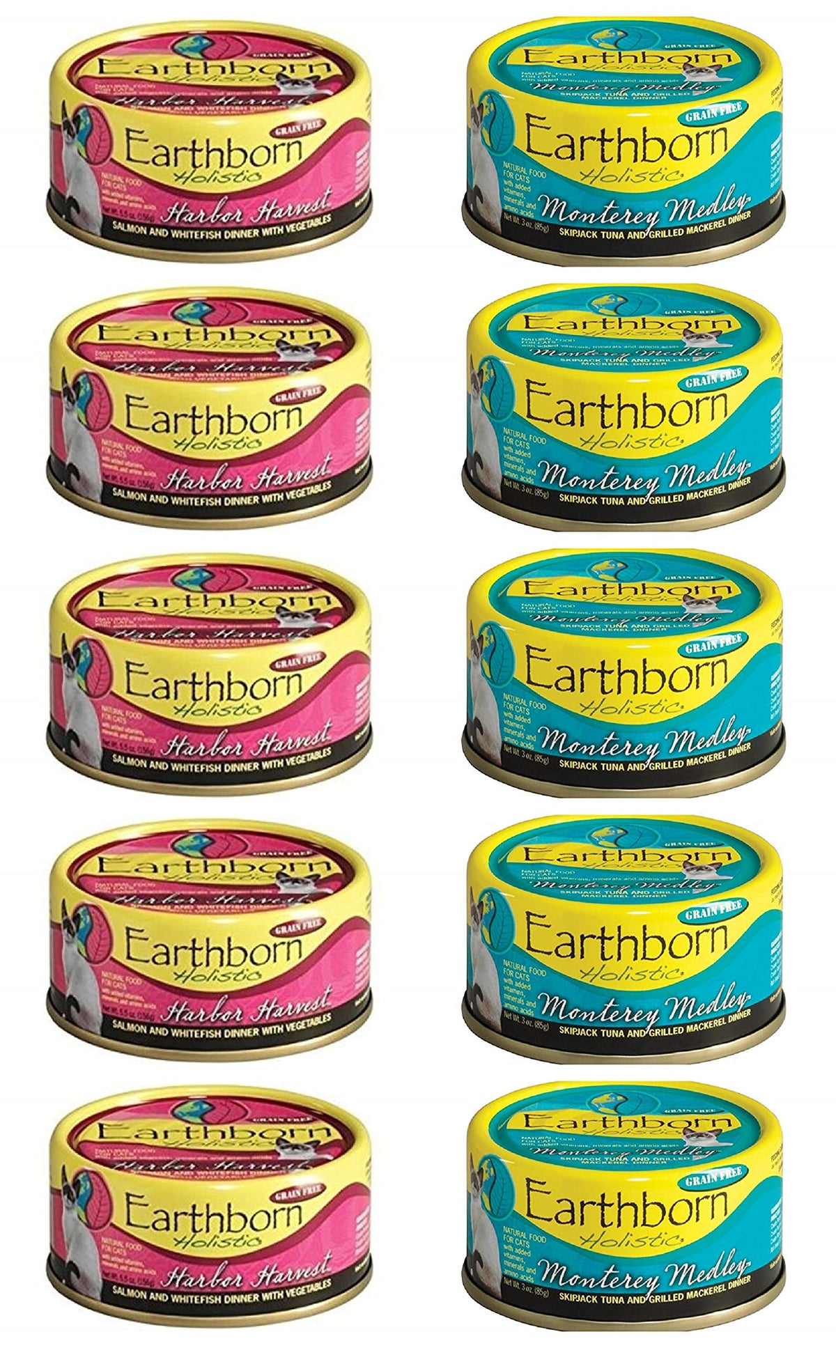 Earthborn Holistic face avant de la boîte montrant l'étiquette et l'appétence