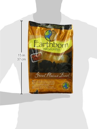 Earthborn Holistic gros plan croquette montrant texture riche en protéines et appétence