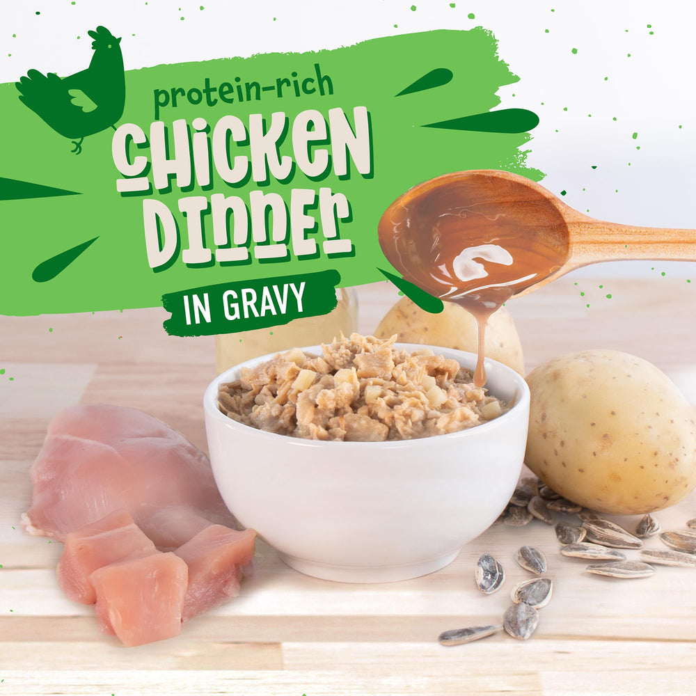 Earthborn Holistic gros plan sur la texture en sauce mettant en valeur l’appétence