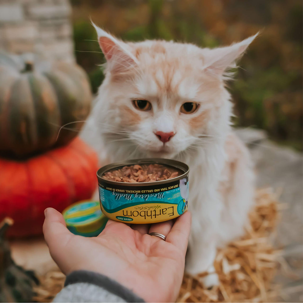 Earthborn Holistic produit présenté dans une cuisine attirante pour le quotidien
