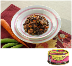 Earthborn Holistic gros plan sur la texture humide et riche pour attirer le chat