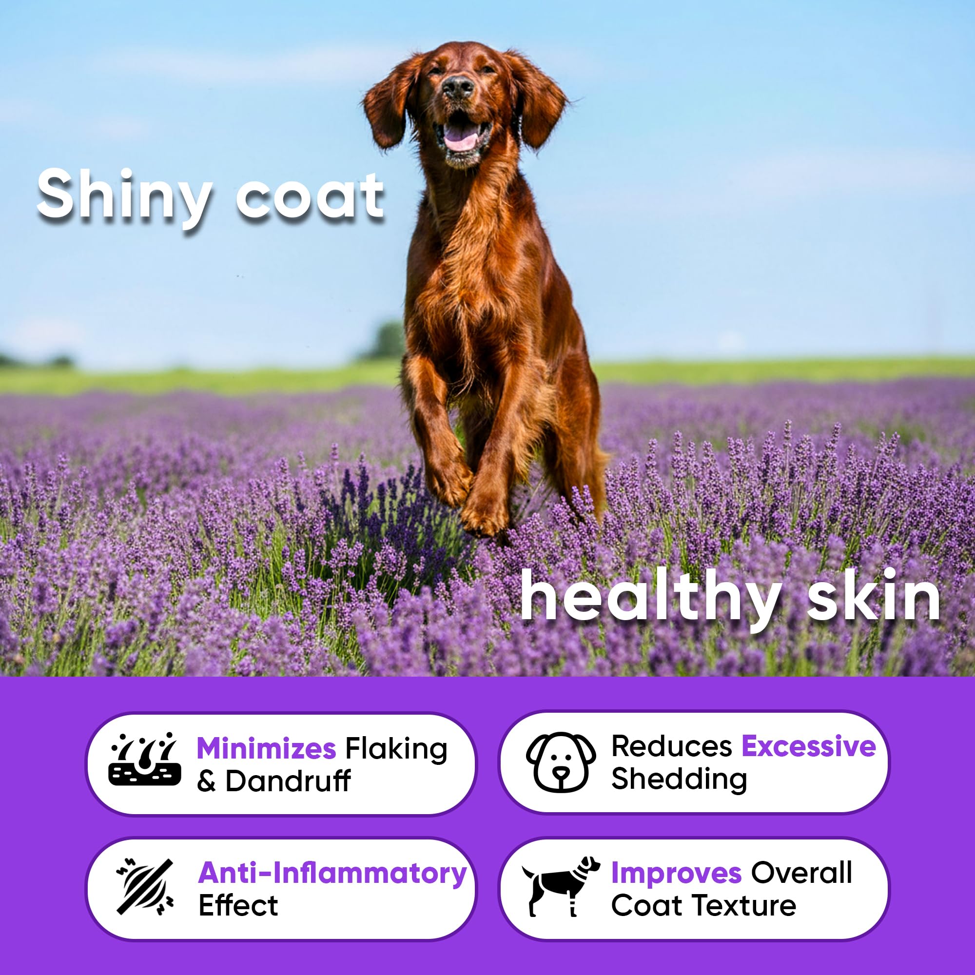 Earthcraft comparaison taille mastic à côté d'une patte de chien, portion adaptée
