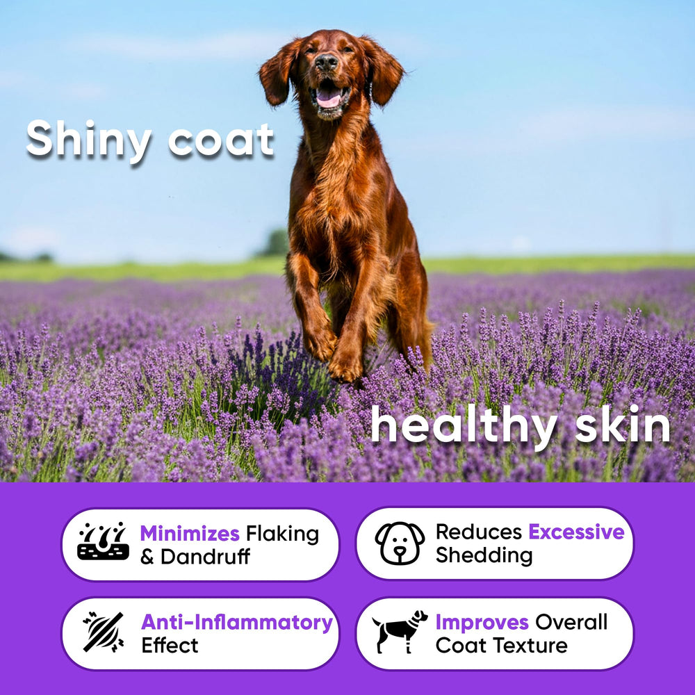 Earthcraft comparaison taille mastic à côté d'une patte de chien, portion adaptée
