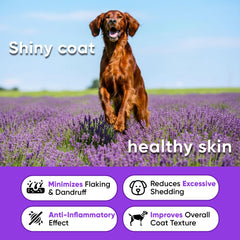 Earthcraft comparaison taille mastic à côté d'une patte de chien, portion adaptée