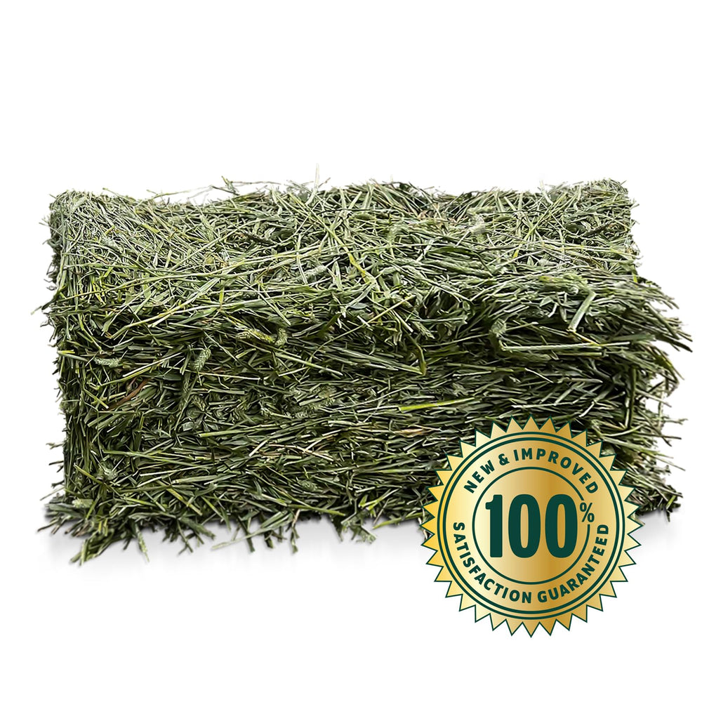 Eaton Pet and Pasture gros plan du foin révélant texture fraîche et appétence