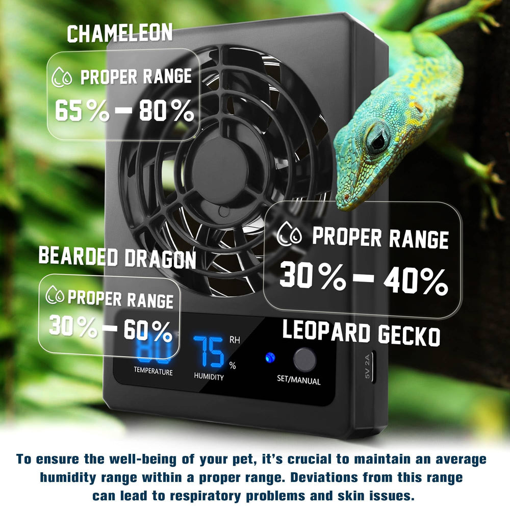 Eckpo dans terrarium simulant air naturel pour confort des reptiles