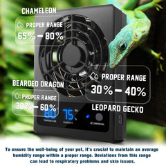 Eckpo dans terrarium simulant air naturel pour confort des reptiles