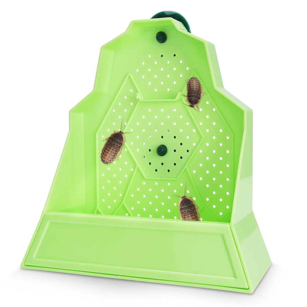 Eckpo mangeoire face avant montrant design attractif pour stimulation
