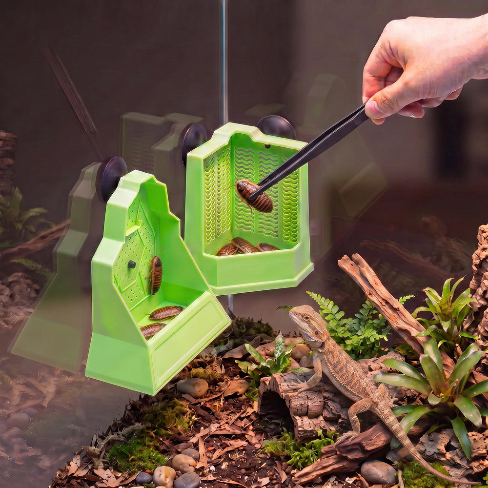 Eckpo ventouse de fixation assurant installation sans perçage