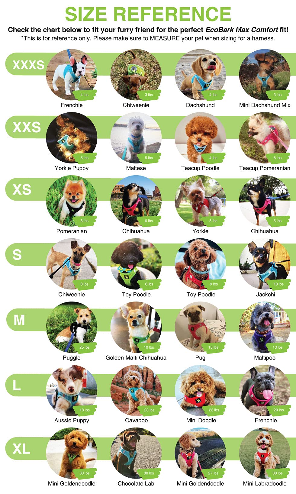 EcoBark comparaison d'échelle avec main pour évaluer la taille