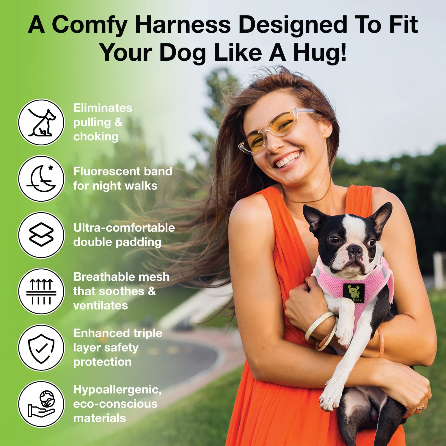 Harnais EcoBark présenté dans panier lifestyle, style quotidien