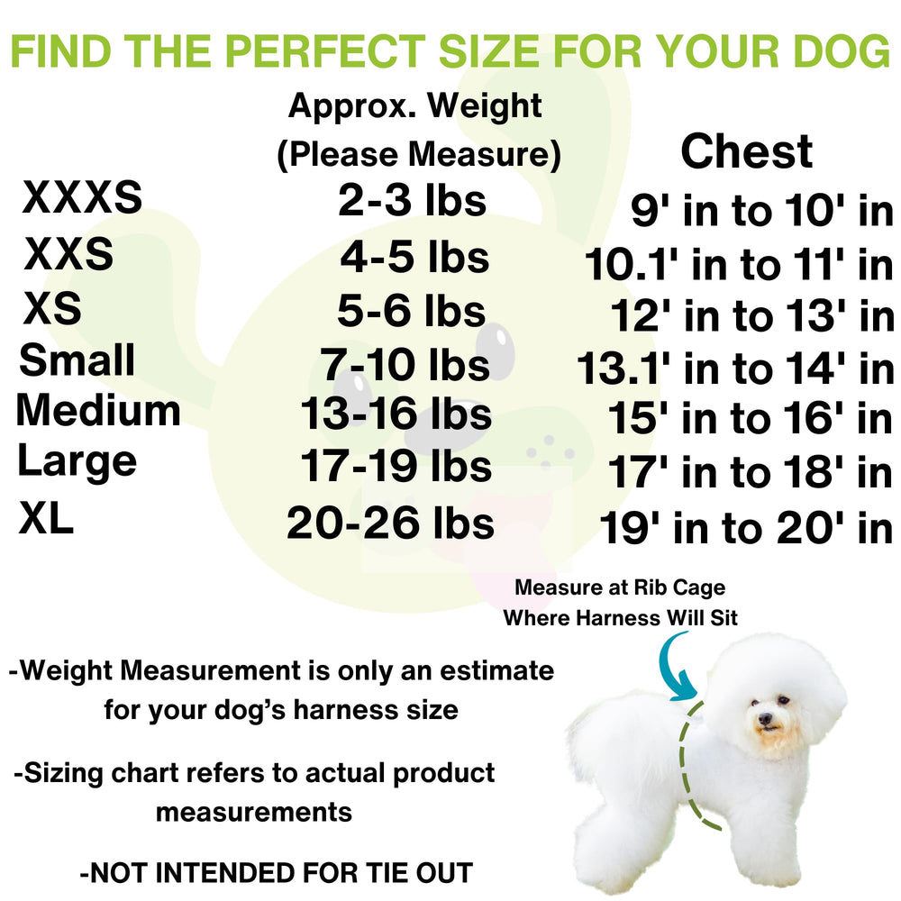 EcoBark comparaison taille montrant adaptation aux petits chiens