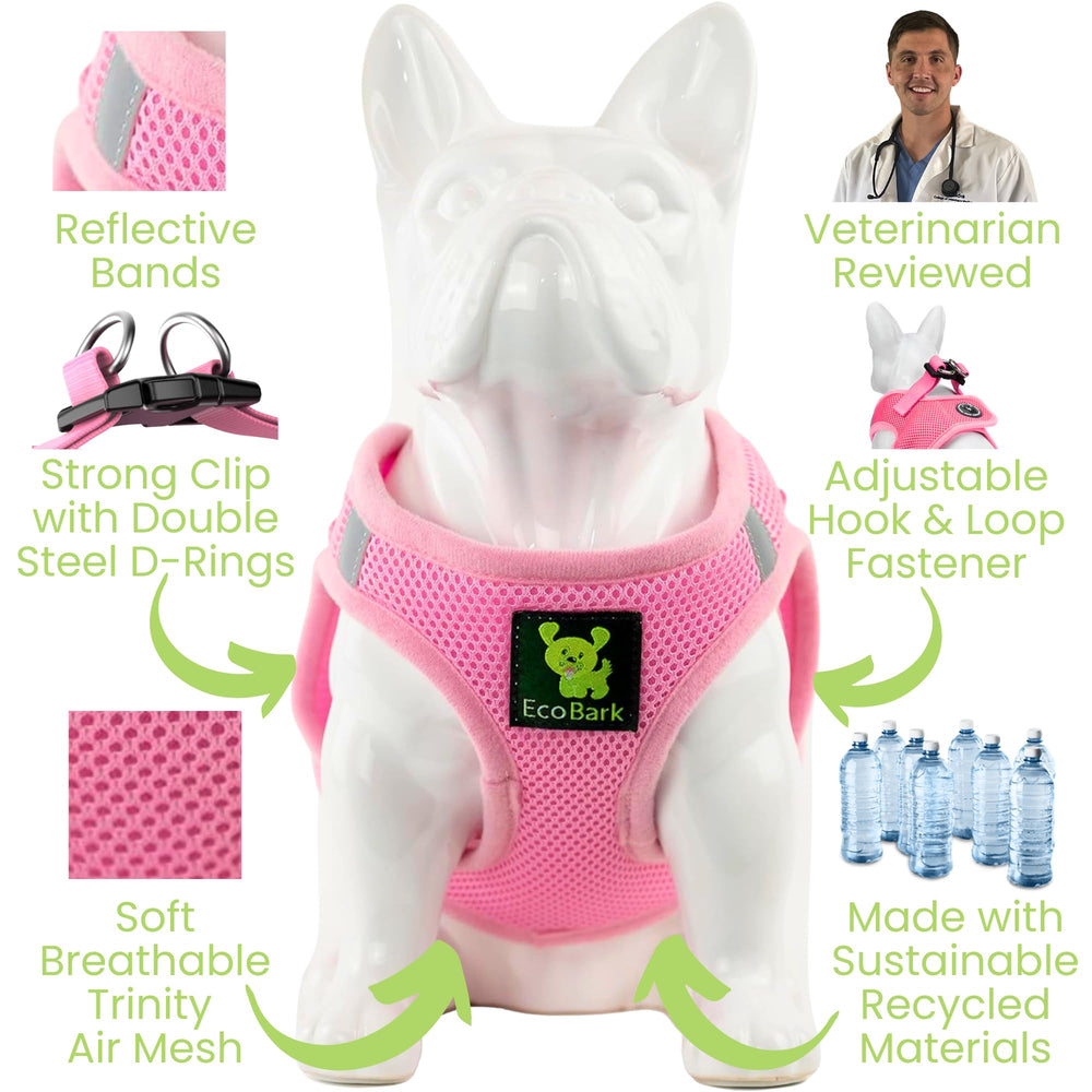 EcoBark comparaison taille montrant ajustement pour très petits chiens