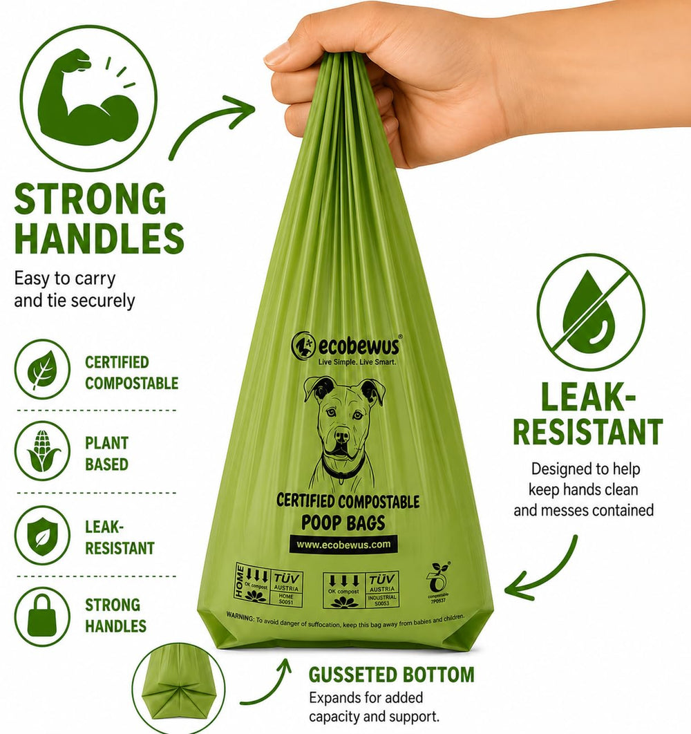 ecobewus sac sorti distributeur lors d'une promenade pratique