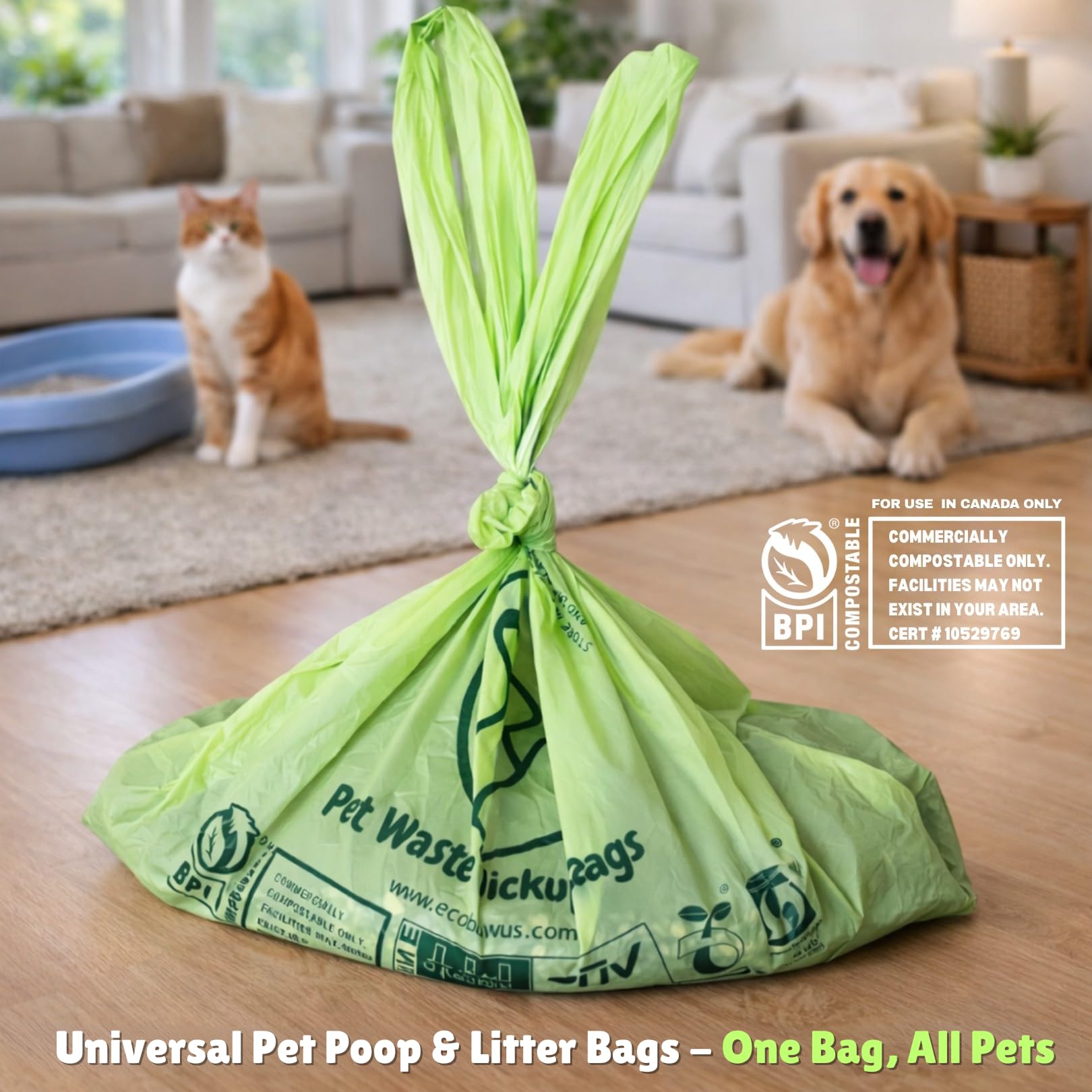ecobewus sac en utilisation pour ramassage de déjections canines propre