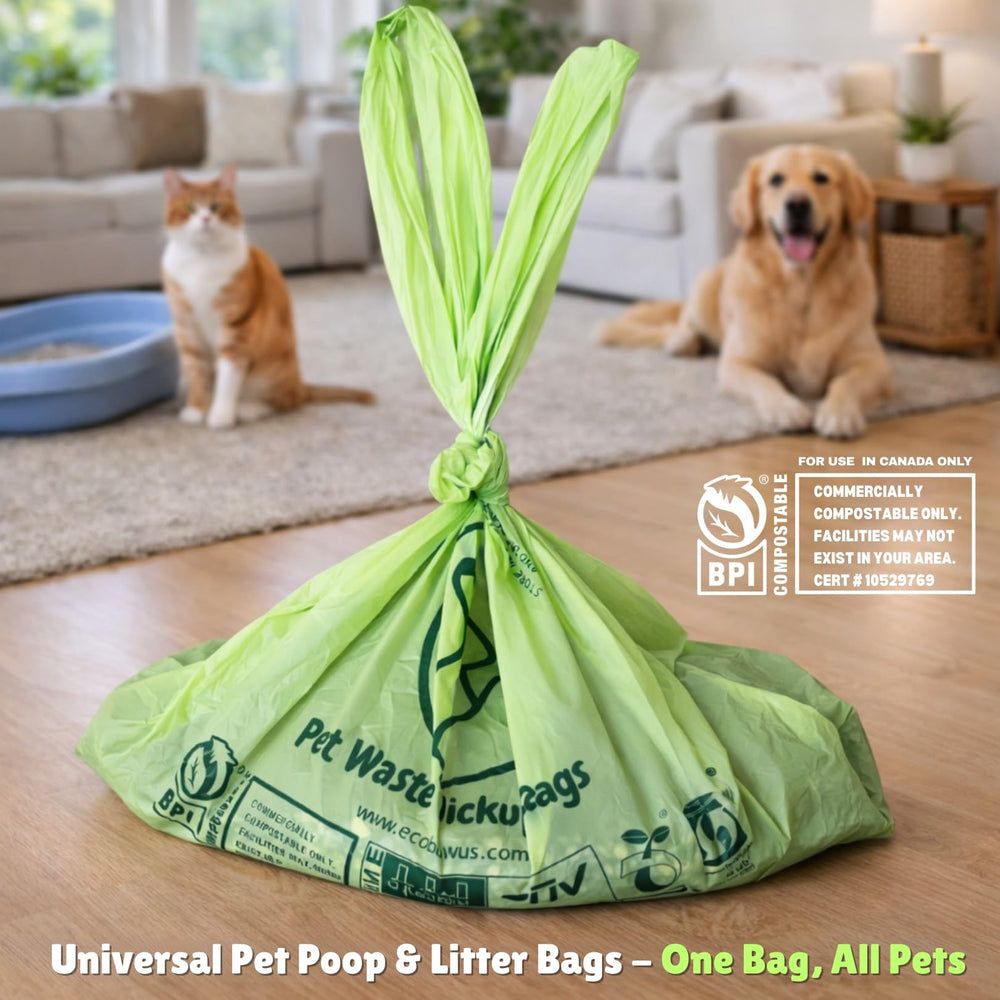 ecobewus sac en utilisation pour ramassage de déjections canines propre