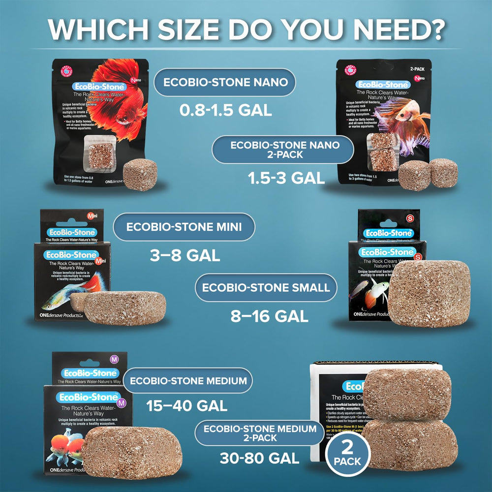 EcoBio-Block gros plan sur texture volcanique avec absorption des polluants