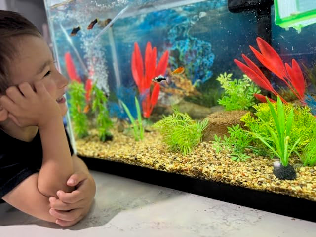 EcoBio-Block dans décor de bureau pour pico-aquarium bénéfice entretien réduit