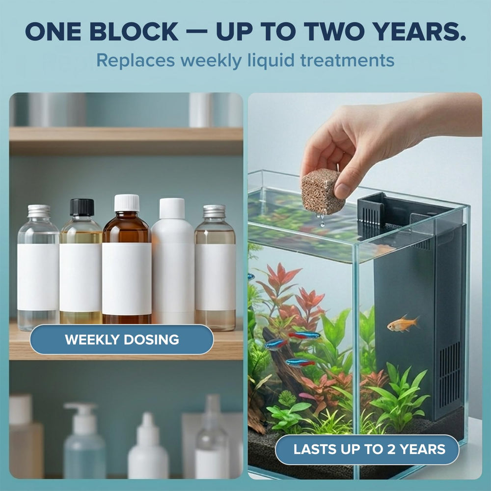 EcoBio-Block utilisé avec crevettes, sûr pour espèces délicates
