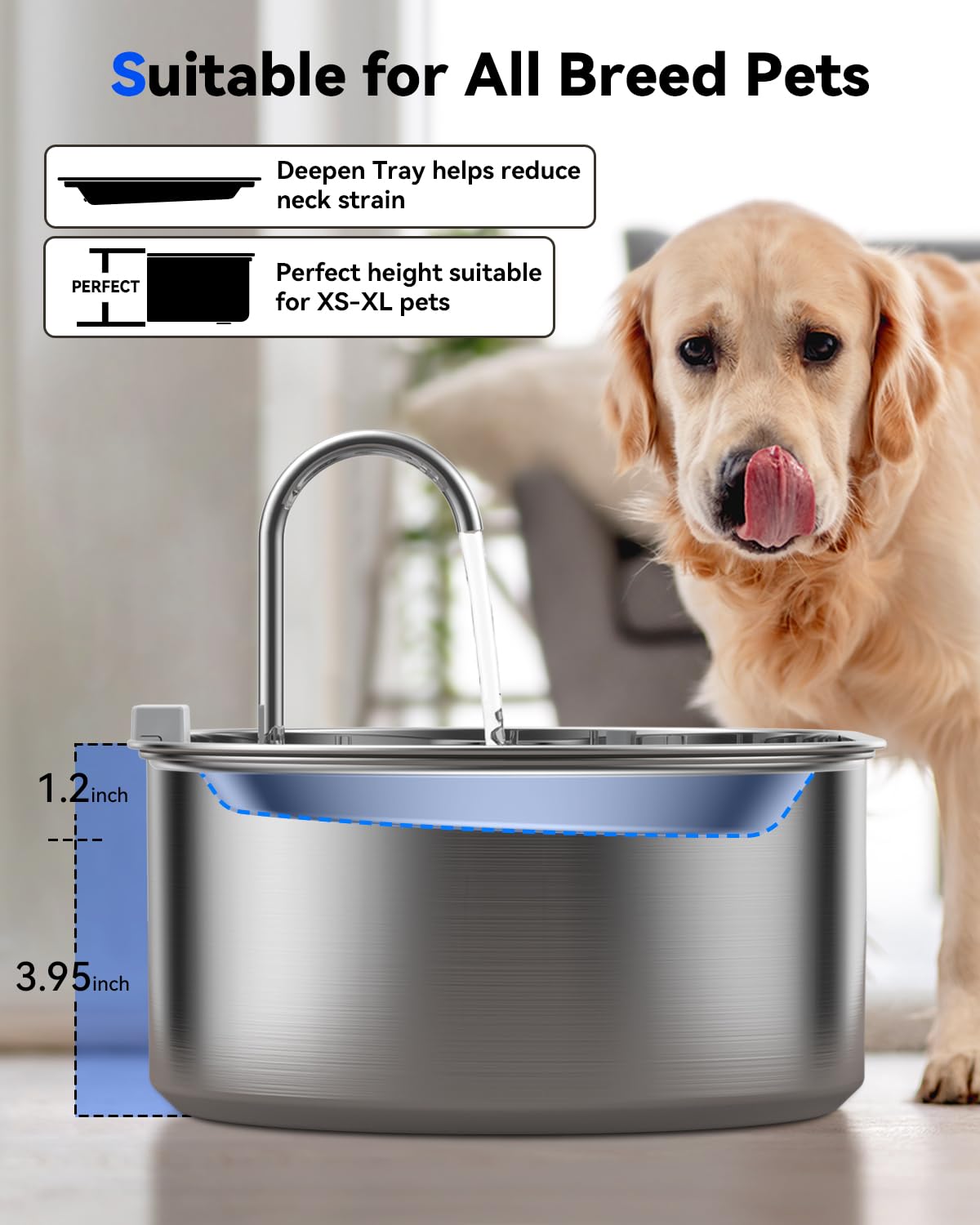 ECOCONUT chien en train de boire confortablement sans éclaboussures
