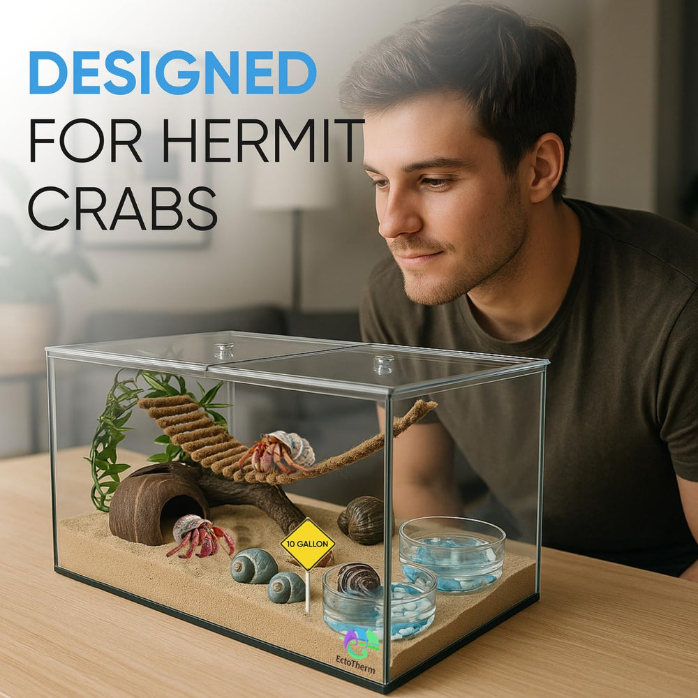 EctoTherm décorations et accessoires compatibles pour enrichissement