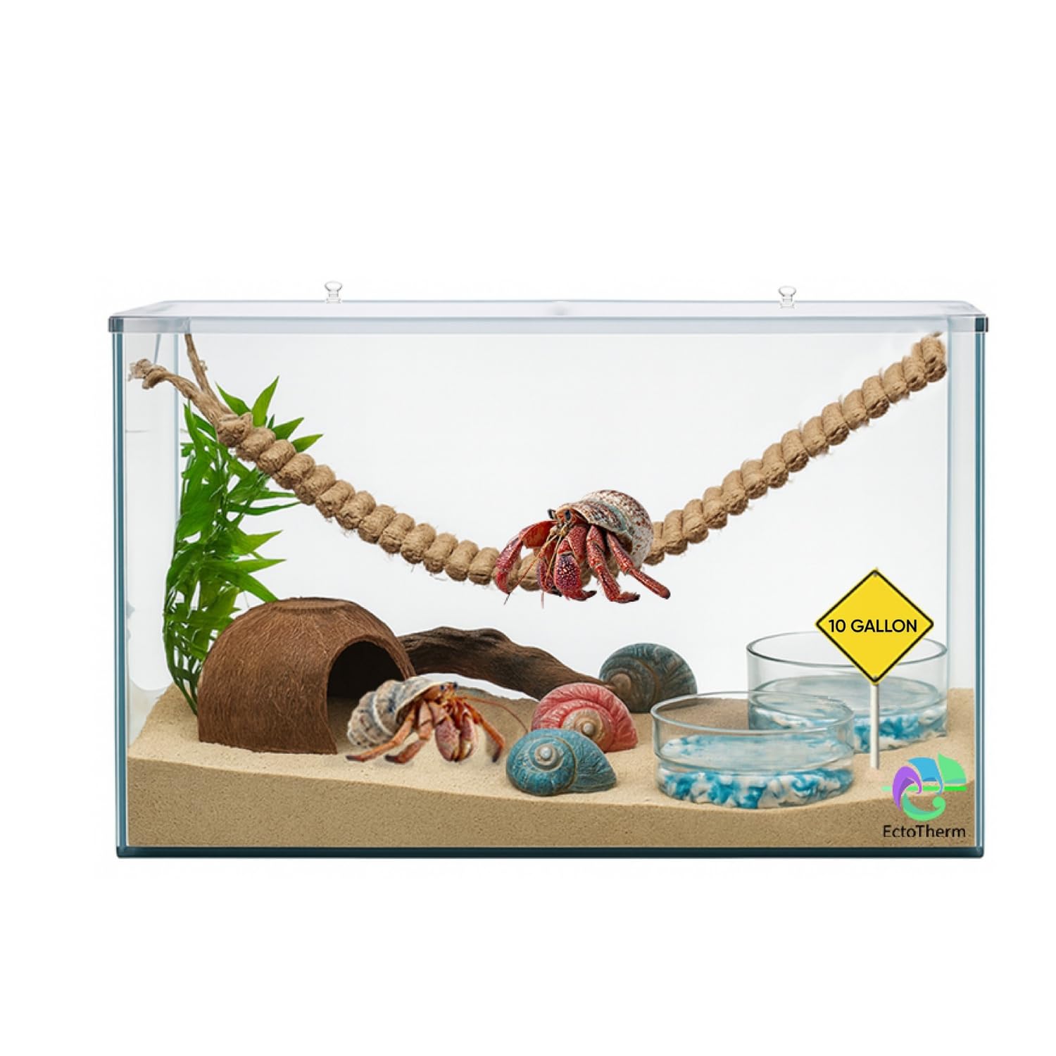 EctoTherm vue frontale du terrarium montrant clarté et protection