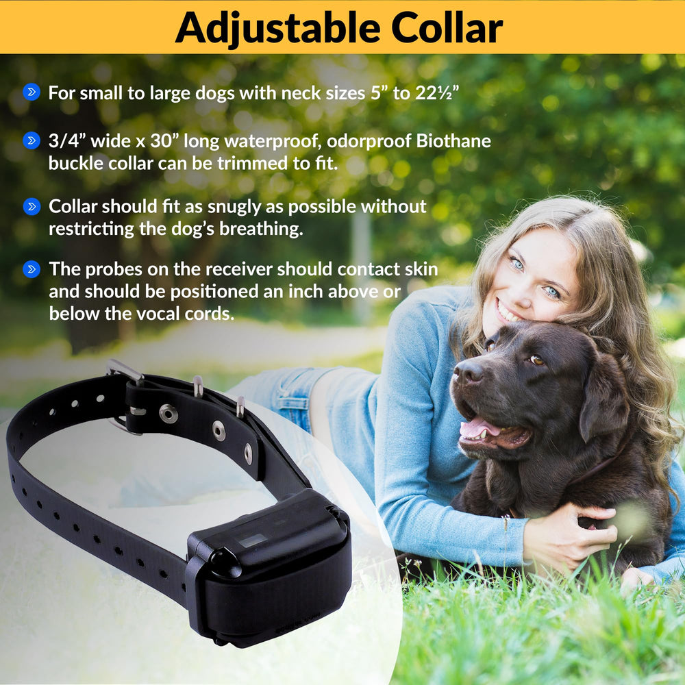 Educator BP-504 collier porté sur chien démontrant correction contrôlée