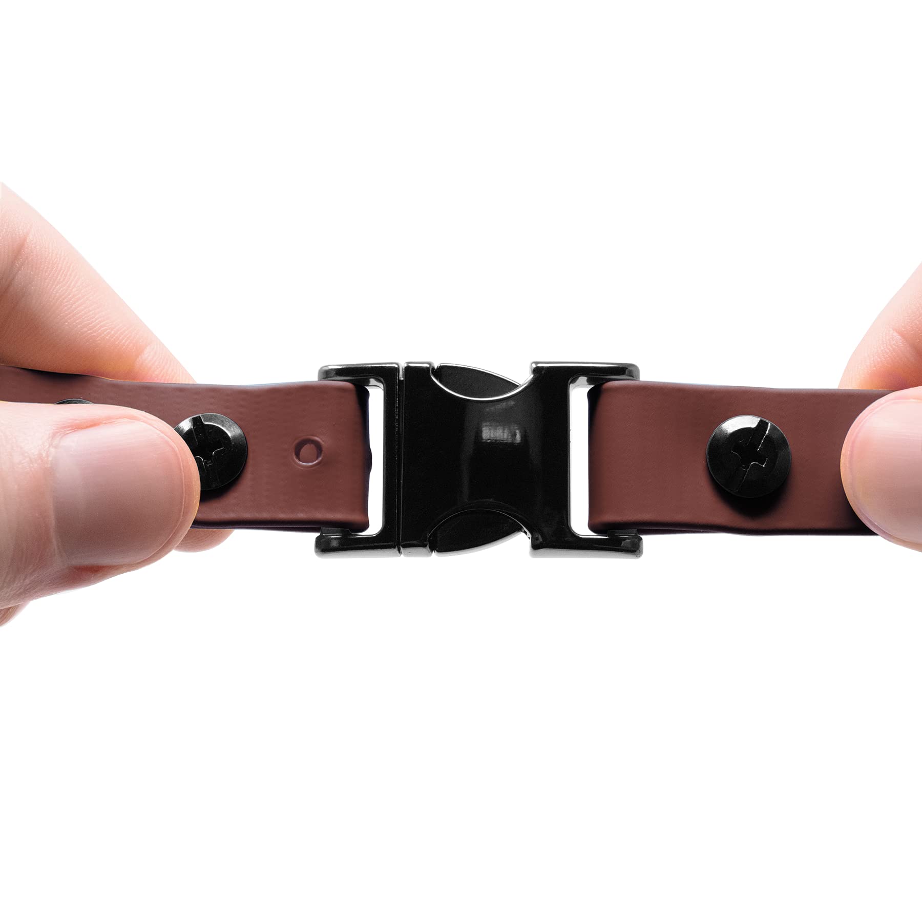Educator collier D-ring acier pour attacher laisse et médaille solidement