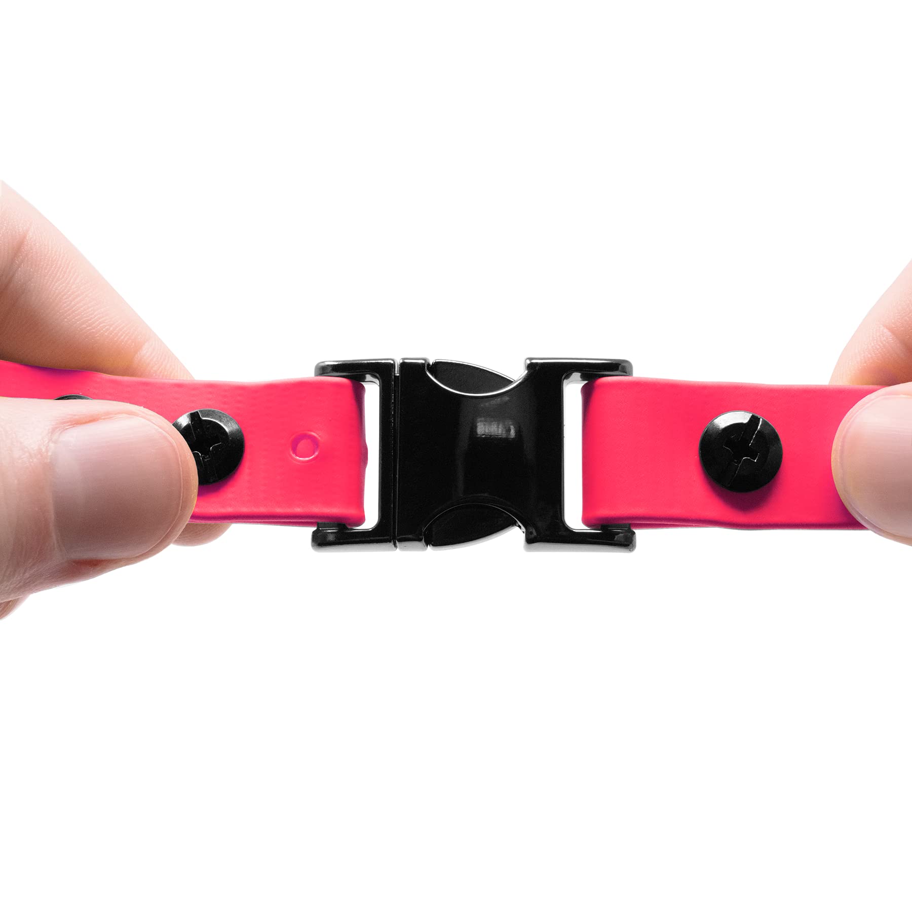 Educator D-ring robuste avec porte-étiquette pour identifiant et laisse