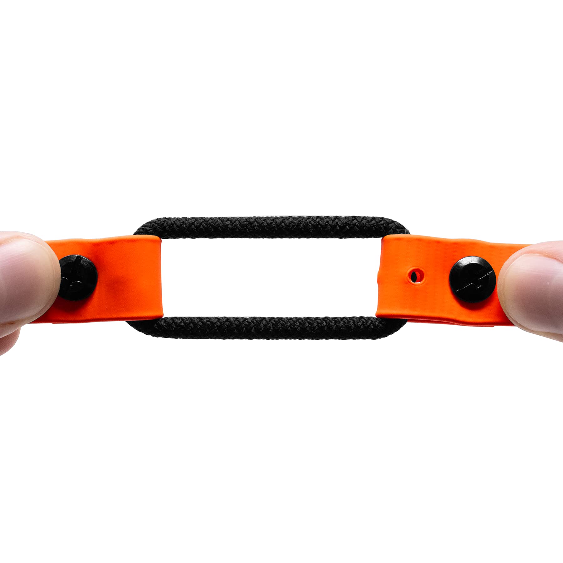 Educator collier porté par chien en extérieur adapté aux activités aquatiques