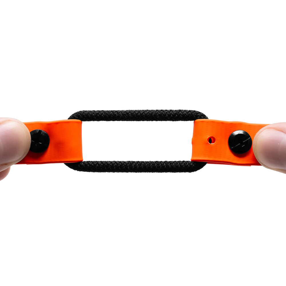 Educator collier porté par chien en extérieur adapté aux activités aquatiques