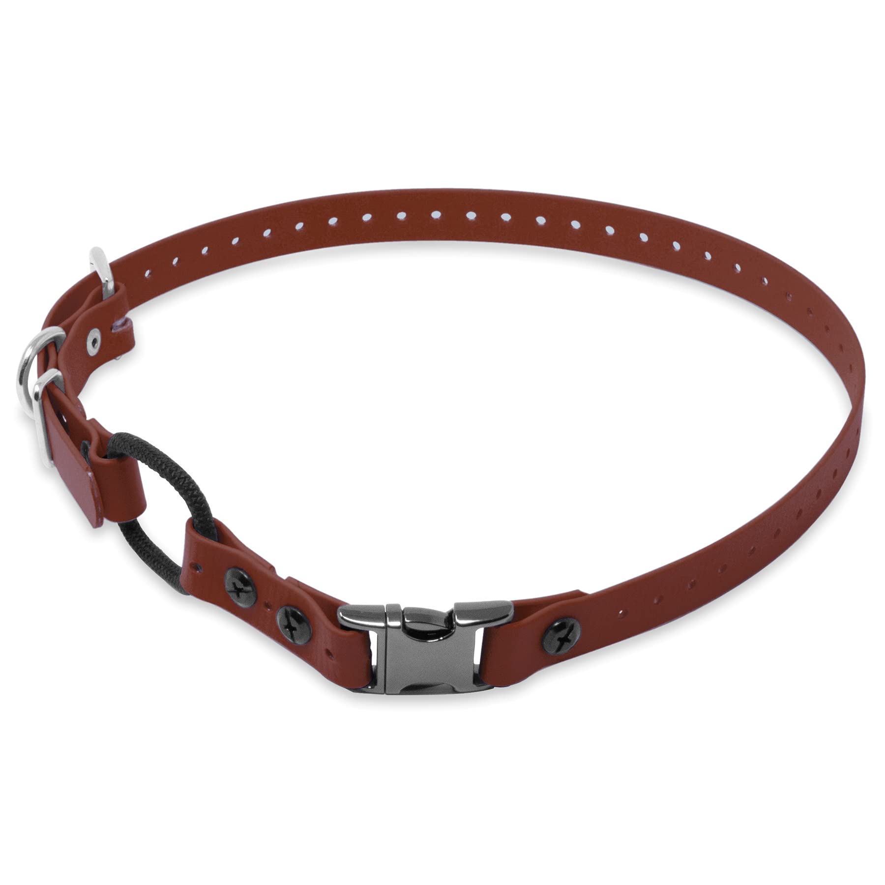 Educator collier face avant marron montrant fermeture rapide et durabilité