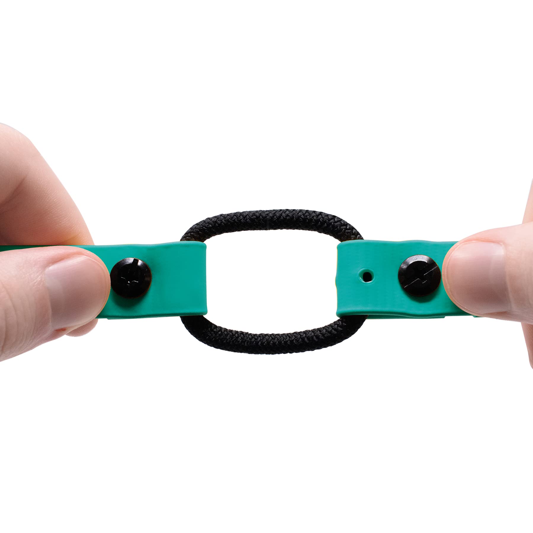 Collier Educator porté sur chien pour comparaison d'échelle et ajustement