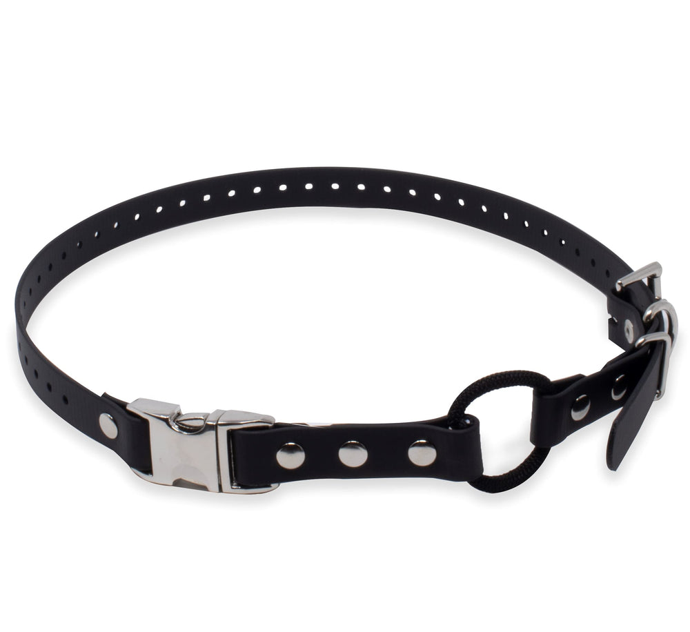 Educator collier face avant montrant la sangle et la fermeture Quick Snap pour installation rapide