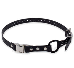 Educator collier face avant montrant la sangle et la fermeture Quick Snap pour installation rapide